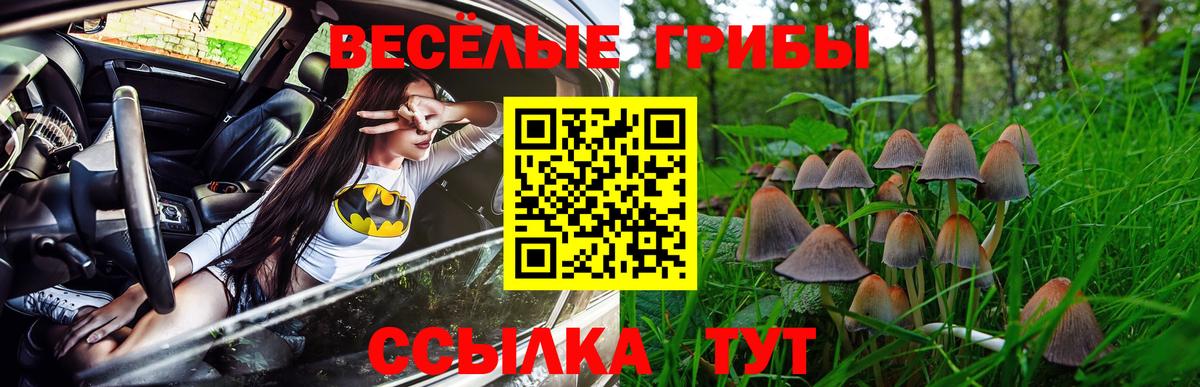 Воркута  Галлюциногенные грибы прущие грибы  Вход с VPN 